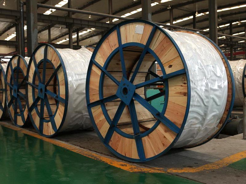 ACSR Galvanized Steel Core Stranded Wire