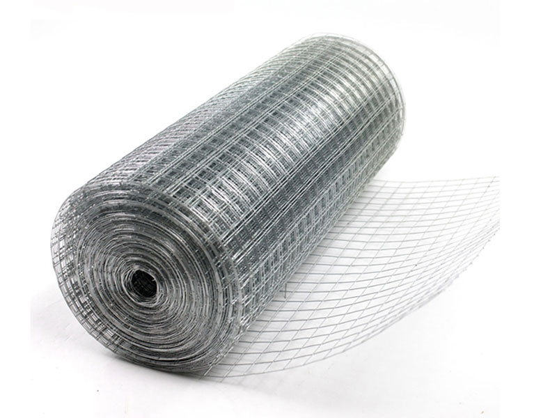 Galvanized Welded Wire Mesh